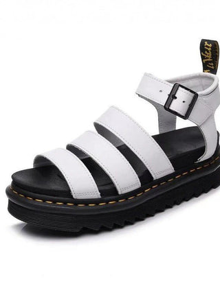 52284927934542